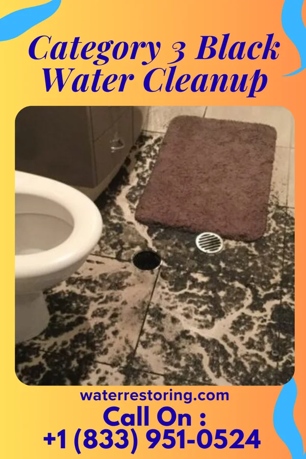 Category 3 Black Water Cleanup in Quincy, WA